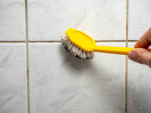 Best Mold Testing  in West Monroe, MI