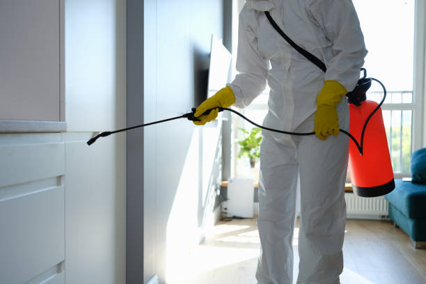 Best Mold Cleaning Services  in West Monroe, MI